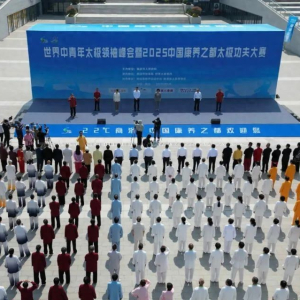 世界中青年太极领袖峰会暨2025中国康养之都太极功夫大赛开幕 ...