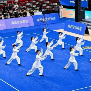 陕西省第四届武林功夫大会落幕 中外选手以武为桥共促文化交流 ...
